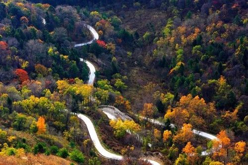 秋色斑斓醉秦岭陕西这条公路霸占了秦岭一半的美