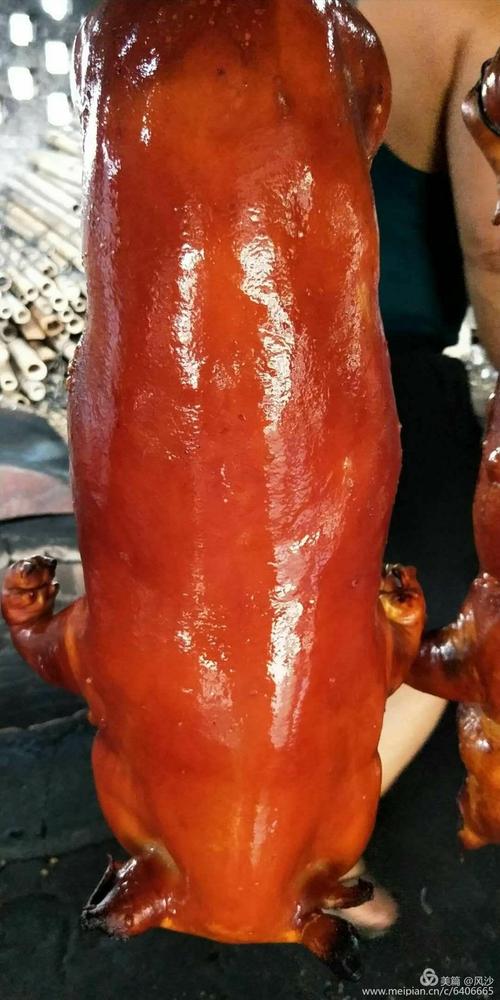 麻章(深井地炉)金猪,生鲜本地猪,皮脆肉香,是聚餐;喜庆首先佳肴