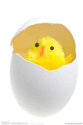 幼儿简笔画鸡蛋破壳小鸡出生