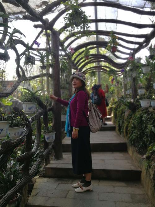 西双版纳野象谷,兰花园,植物园