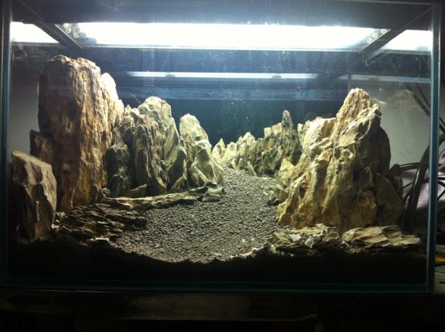 60x40x40松皮石造景再更新放生物图