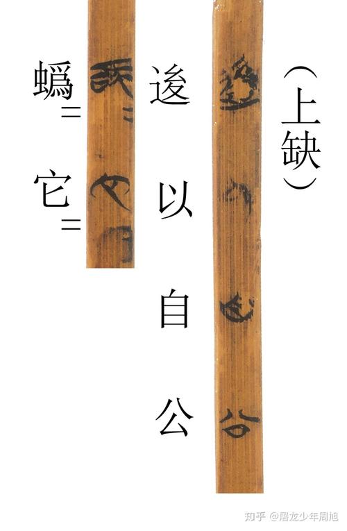 安大简17羔羊对读