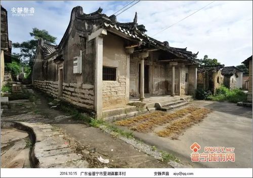 普宁村落:里湖寨洋村