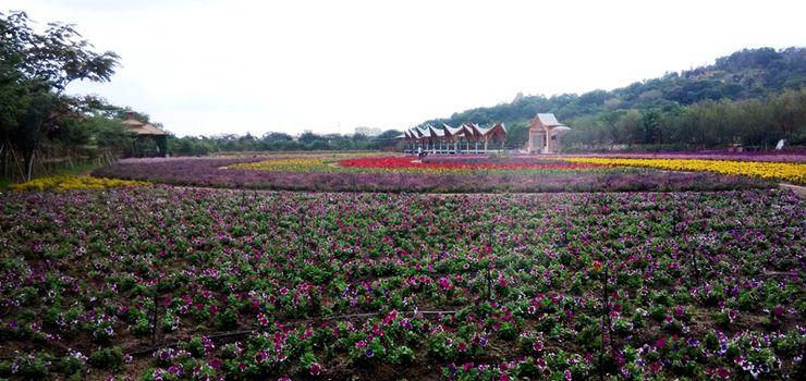 广东 汕头 汕头丹樱生态园 放大地图