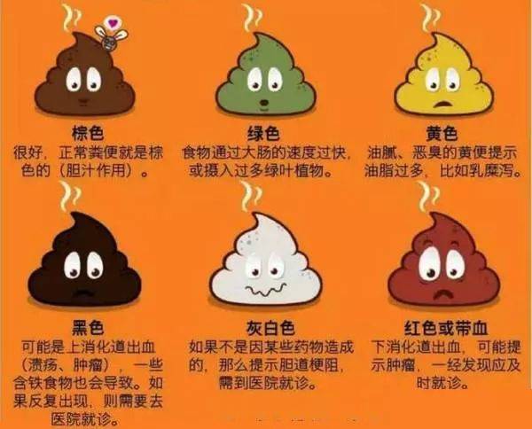 大便黑色是消化道出血?教你从大便颜色看身体状况