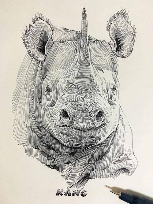 相对于上一篇文章里水乡风景钢笔画洒脱随性的钢笔线条,这组动物画