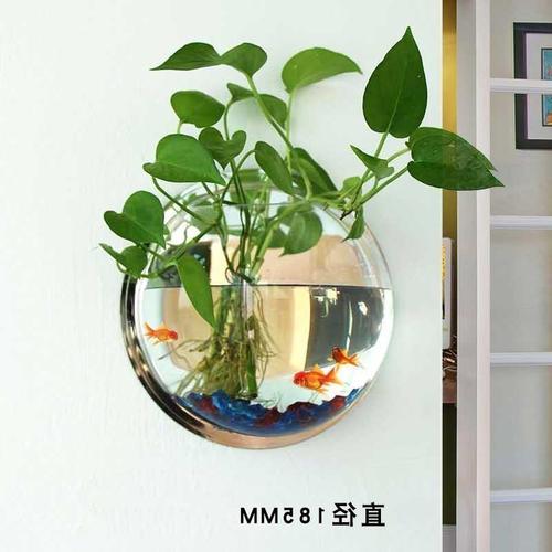 墙壁挂件玻璃瓶水培花瓶墙上鱼缸创意客厅挂饰墙装饰水养绿萝花盆