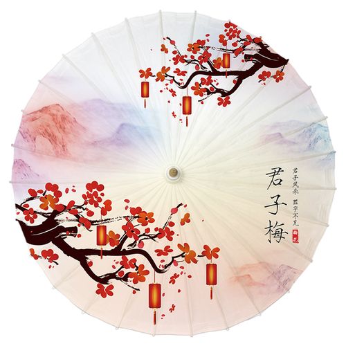 毕六福油纸伞古典传统江南实用古风道具舞蹈伞防雨遮阳中国风雨伞