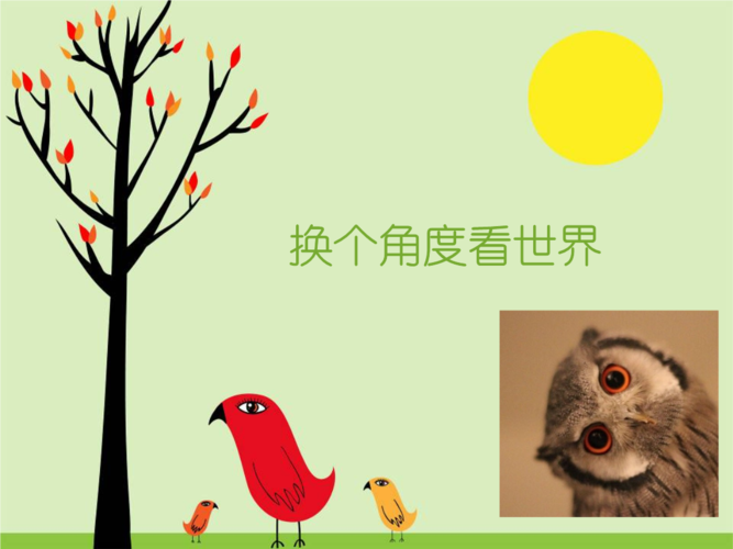 换个角度看世界换个角度看世界ppt10页