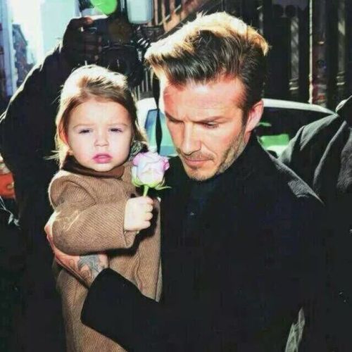 小七,贝克汉姆头像