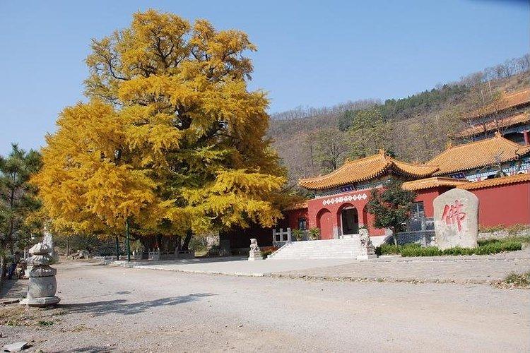 潍坊安丘城顶山生态旅游区旅游