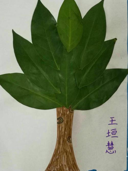 阳光宝宝幼儿园树叶粘贴画亲子手工作业通知