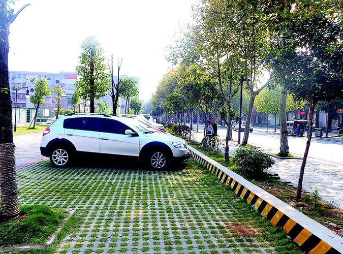 生态停车场其实是一种高绿化和高承载的停车场.