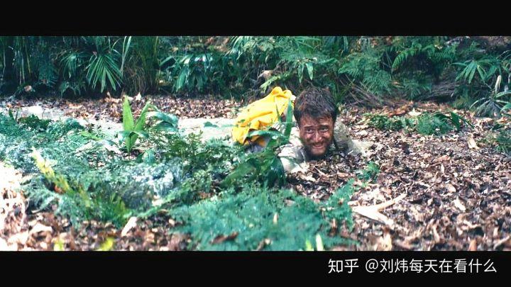 被困在亚马逊热带雨林怎么逃出去