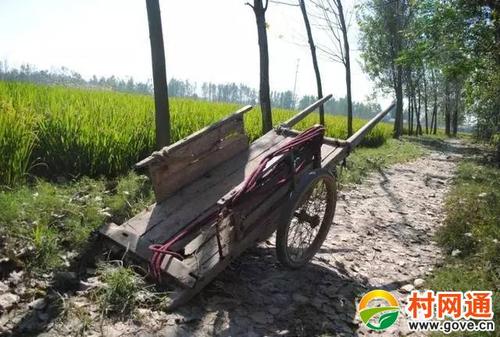 这些农村的照片,马上让你找到故乡的味道.