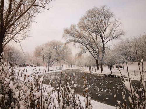 2020.1.3 下雪天,真的很美!