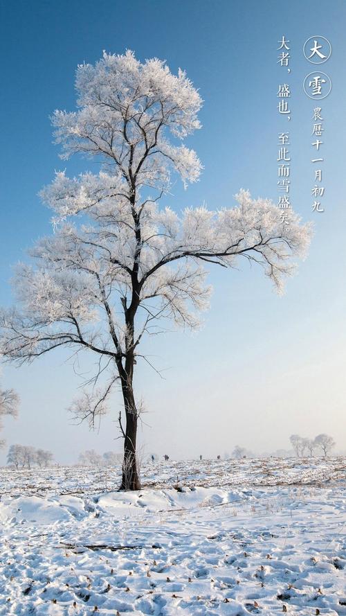 节气大雪图片大雪唯美风景图片