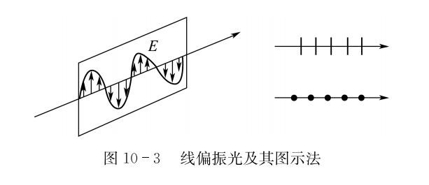 大学物理光的偏振