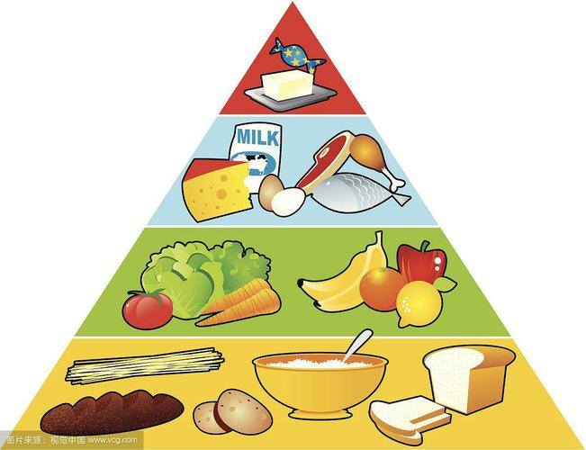 食物金字塔