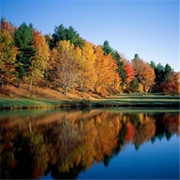 成熟男人微信头像风景2019 风不识路才会没有归宿