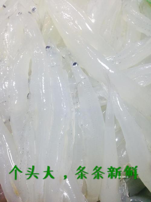 苏州. 长江银鱼