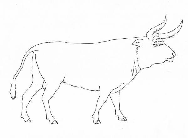 动物考古学视野下的牛与中国古代文明的形成和发展