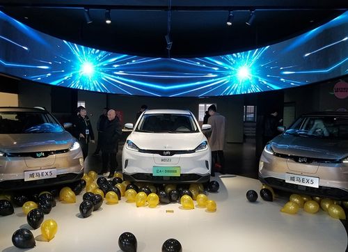 威马汽车被谈掉队这其实是一个误解