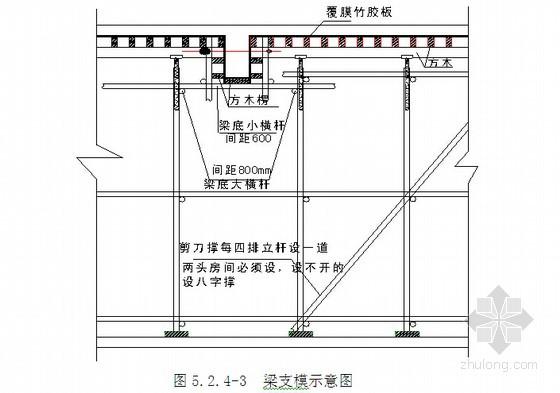 梁支模示意图