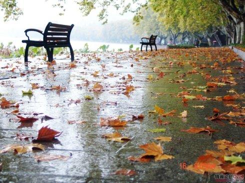微风落叶草知秋,丝雨织情泪已流.
