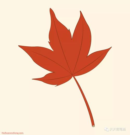 枫叶简笔画步骤_银杏叶子简笔画作品彩色图片
