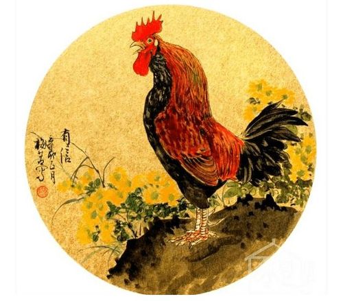 1981年属鸡的命运金鸡百折不挠破窘境必定行大运