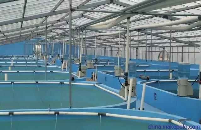 广州裕鑫供应出口制氧机 水产养殖增氧设备 厂家直销