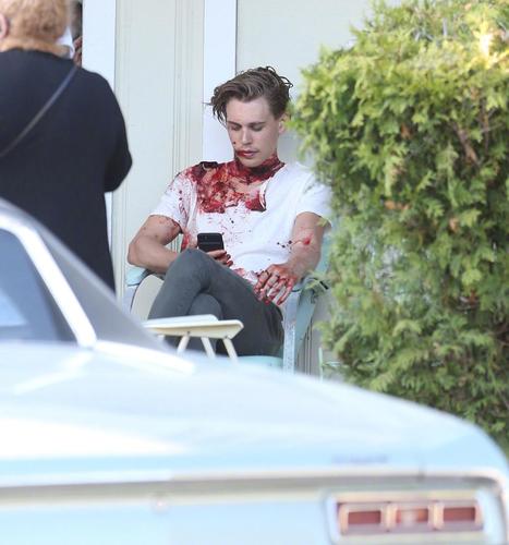奥斯汀·巴特勒 austin butler的图片