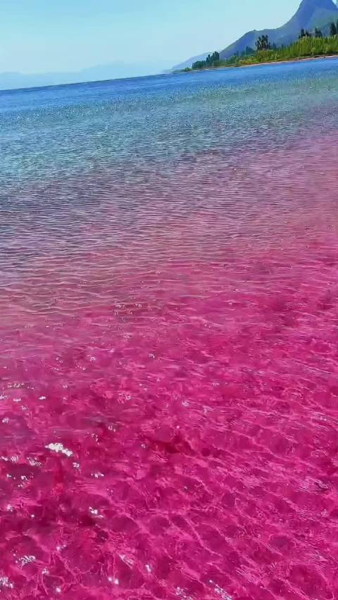 抚仙湖的粉色沙滩美爆了,水里的光影也超好看