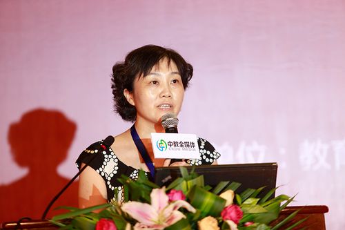 国防科技大学教授 丁文霞