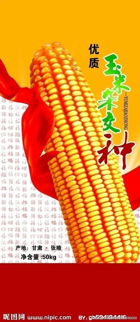 玉米种子包装图片