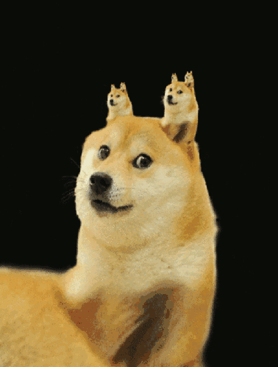 我的表情包柴犬去世了