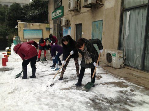 社区扫雪感受的社会实践报告