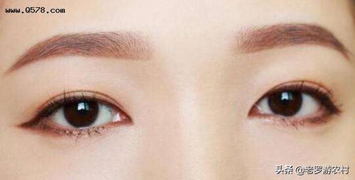 眉毛算五官之一吗?它有什么功能吗?