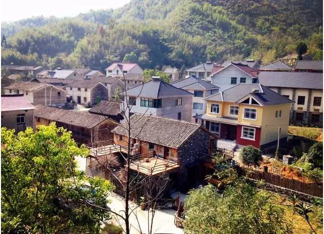 大坞村是大溪村的一个自然村,座落在一个山坳里,这里没有城市的喧嚣与