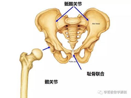 孕期,分娩后的疼痛主要部位是骨盆带,但如何解决呢?此