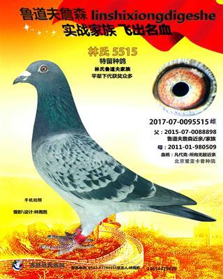 龙翔轩/盖比"664"家族