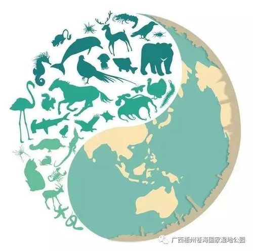 保护生物多样性 保护我们的未来