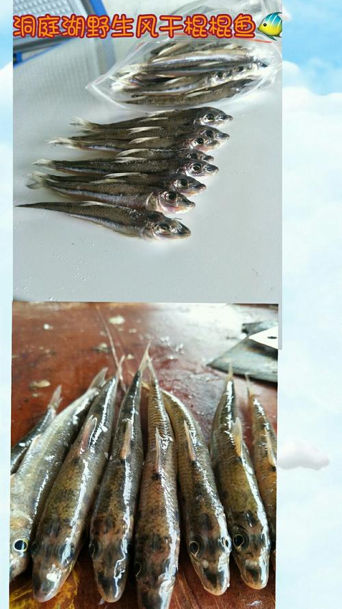 (小陈)洞庭湖野生风干鱼