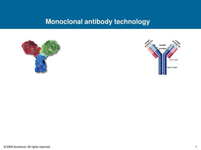 单克隆抗体的发展情况ppt