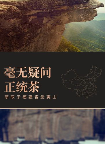 一号村 罐罐好茶武夷岩茶大红袍茶乌龙茶茶叶20罐100g礼盒装750_1030