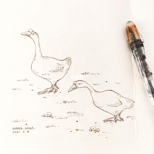 之前画了小鸭子,很多小伙伴很喜欢