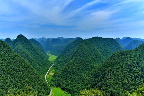 贵州全国排名靠前的 森林公园