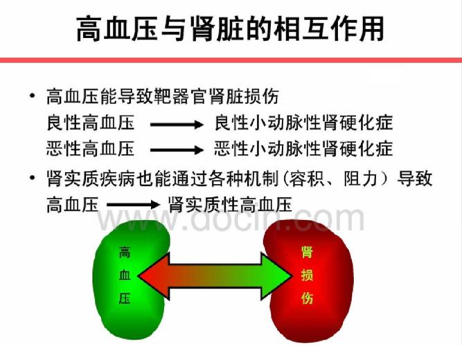 中国肾性高血压治疗的专家共识_陈香美(2010年年会)ppt