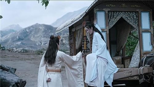 影视同人小说 陈情令之忘月 金子轩传令下去,让我们的人帮着收捡尸骸.